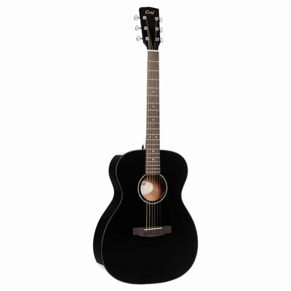 Fantastic smaller-bodied acoustic guitar with a solid spruce top and a lovely black gloss finish!