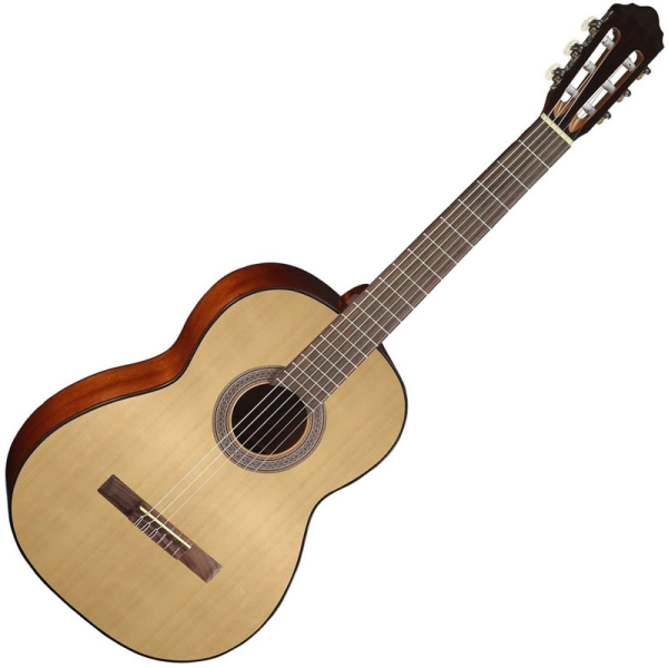 High quality entry-level classical guitar.&nbsp; Includes gig bag!