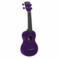 Entry-level soprano ukulele with bag.