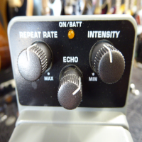 Affordable delay pedal in good condition.