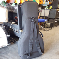 SG Hard Foam Case in very near mint condition.