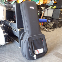 SG Hard Foam Case in very near mint condition.