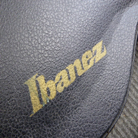 <p>Lovely double cut archtop guitar with original hard case.&nbsp; Made in Korea (1995).</p><p>Good condition for its age.</p>