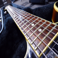 <p>Lovely double cut archtop guitar with original hard case.&nbsp; Made in Korea (1995).</p><p>Good condition for its age.</p>