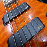 <p>High quality 6 string bass guitar in excellent condition.</p><p>Made in Korea (2005-2011).</p>