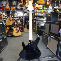 Entry-level bass guitar in excellent condition.