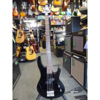 Entry-level bass guitar in excellent condition.