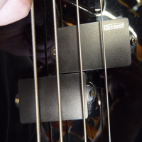 Entry-level bass guitar in excellent condition.