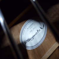 Affordable electro-acoustic bass by Dean.&nbsp; Good condition.