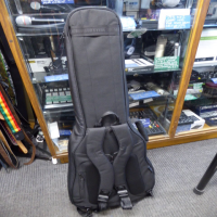 Heavy duty Les Paul gig bag in mint condition.