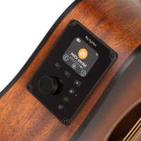 <p>Short-scale electro-acoustic with built-in effects, looper, tuner, metronome and Bluetooth audio.</p><p>Includes bag.</p>