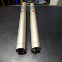 A great matched pair of two small diaphragm condenser microphones.<br />Perfect for strings, acoustic guitars and pianos.<br />The sE1a uses a capsule built and tested by the same skilled technicians as the more expensive sE5 and Rupert Neve Signature RN17 SDCs, housed in a chassis alongside super-quiet electronics.&nbsp;<br /><br />