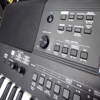 <p>The PSR-E463 is a great keyboard for both learners and players requiring arranger styles and a whole host of modern features.<br /></p><p>It has a 61-key touch responsive keyboard with powerful on-board speakers and easy-to-use professional functions like assignable Live Control knobs, Quick Sampling, Groove Creator and USB Audio Recorder.<br /><br />758 high quality voices including Sweet! and Cool! voices, with 48-note polyphony</p><p>Quick Sampling function - 5 sample (1 Normal type + 4 One shot/Loop type) Max 9.6 sec/sample</p><p>Groove Creator function - 35 grooves, 5 sections(4 main +1 Musical Climax)</p><p>The Registration Memory function allows you to save 4 x 8 panel settings for instant recall.</p><p>You can record your performances to USB Flash Drives. The USB TO DEVICE terminal on the instrument lets you load and save your settings and songs to a USB flash drive, as well as transfer data from your PC.</p><p>The PSR-E463 features audio transfer through the USB TO HOST terminal*. You can record your performance to your computer or smart device.<br /><br />Connecting to your iOS device adds a new dimension of MIDI control with apps.<br /><br />Connect an external audio player to the AUX IN jack and you can play along with your favourite tunes. The built-in, advanced Melody Suppressor lowers the volume of vocals and melody lines of the original recordings, leaving that part open for you to play or sing.<br /><br /><br /><br /><br /></p>