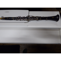 <p>The Buffet B10 is a quality European-made student clarinet.&nbsp;</p><p>Brushed ABS construction.</p><p>Quality silverplated keywork, designed for greater stability and to ensure all the pads seat perfectly over the holes.&nbsp;<br /><br /><br /></p>
