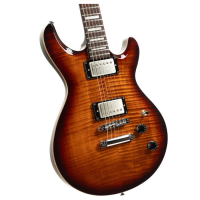Gorgeous double cut guitar with great looks, tone, and playability.