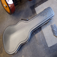 High quality acoustic hard case in near mint condition.
